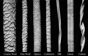 A comparison of natural fibres under a microscope