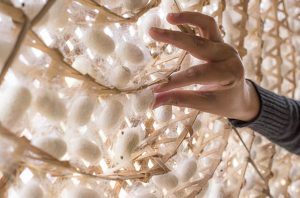 Harvesting silkworm cocoons by hand