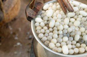 Silkworm cocoons boiling in water